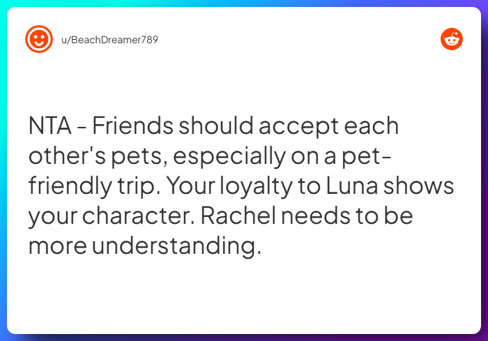 Comment from u/BeachDreamer789