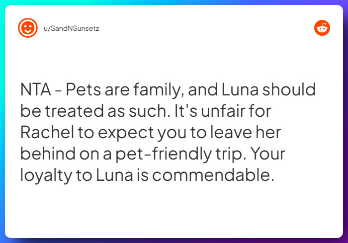 Comment from u/SandNSunsetz