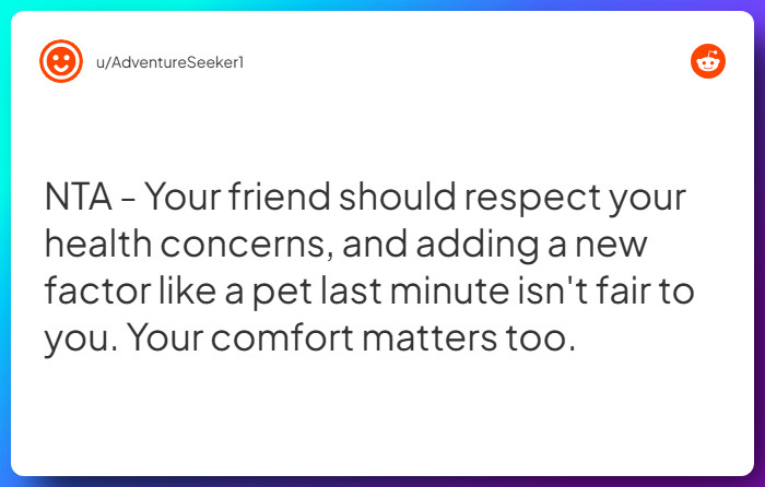 Comment from u/AdventureSeeker1