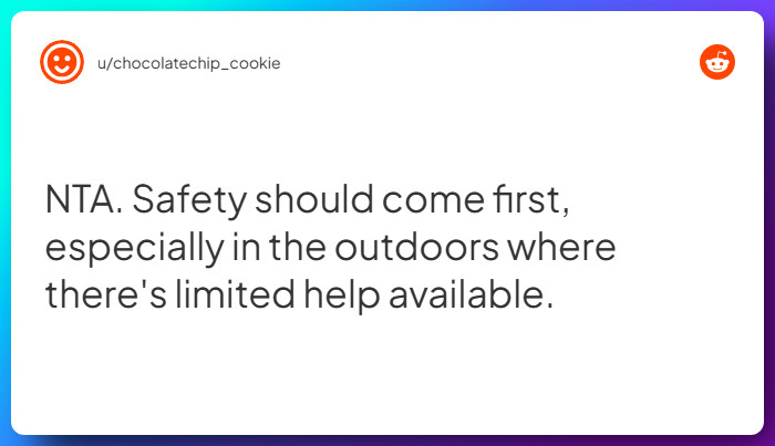 Comment from u/chocolatechip_cookie