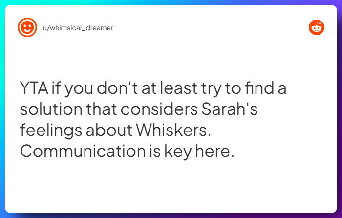 Comment from u/whimsical_dreamer