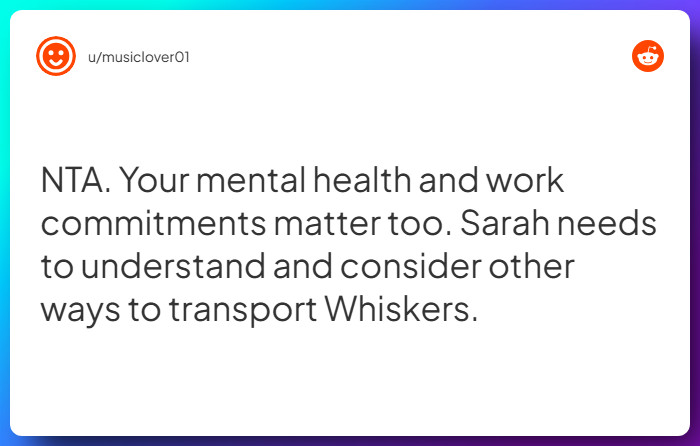 Comment from u/musiclover01