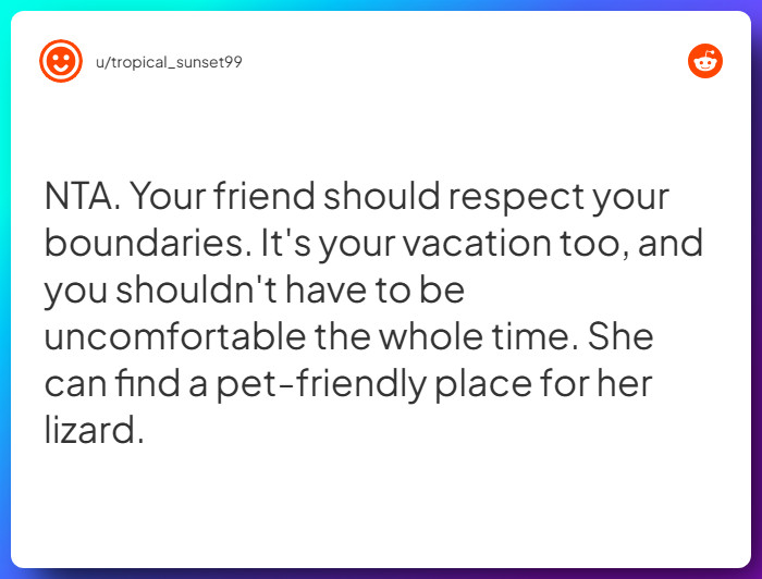 Comment from u/tropical_sunset99