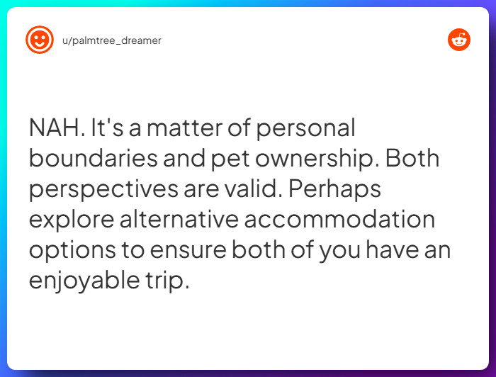 Comment from u/palmtree_dreamer