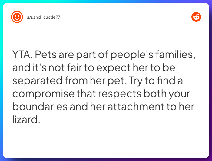 Comment from u/sand_castle77