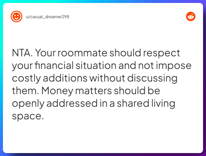 Comment from u/casual_dreamer298