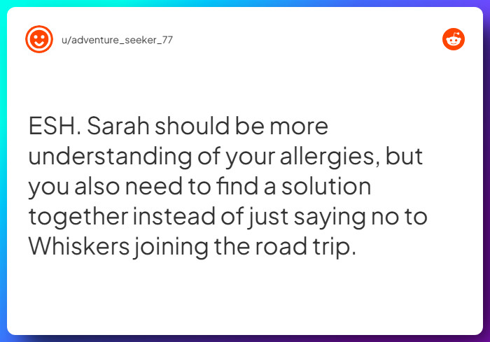 Comment from u/adventure_seeker_77