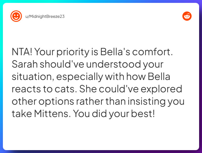 Comment from u/MidnightBreeze23