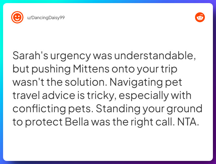 Comment from u/DancingDaisy99