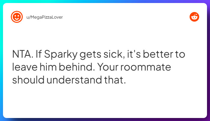 Comment from u/MegaPizzaLover