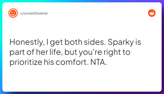 Comment from u/sunsetDreamer