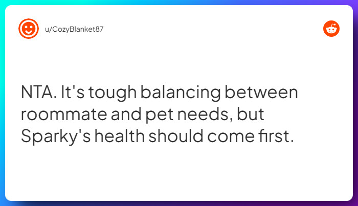 Comment from u/CozyBlanket87