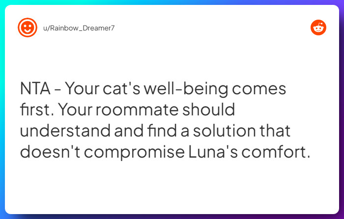 Comment from u/Rainbow_Dreamer7