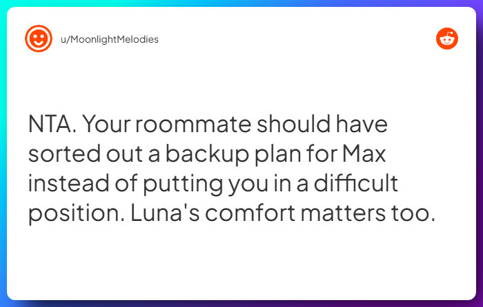 Comment from u/MoonlightMelodies