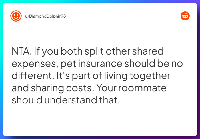 Comment from u/DiamondDolphin78