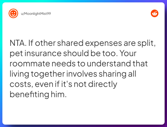 Comment from u/MoonlightMist99