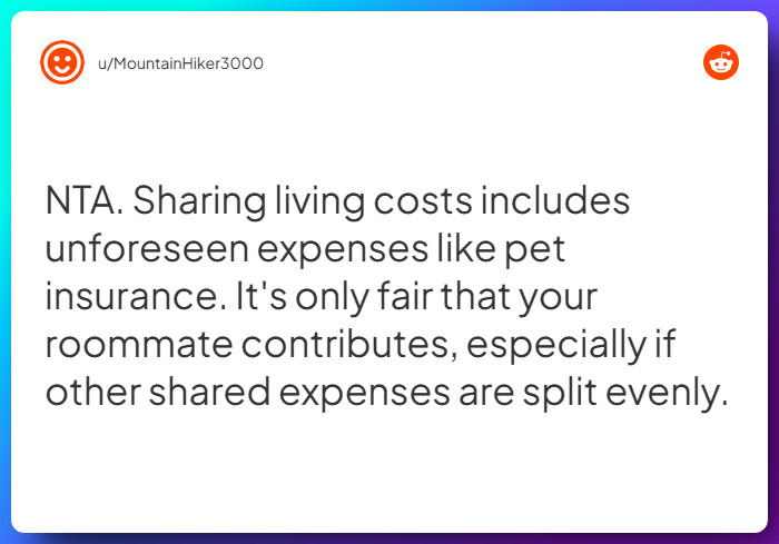 Comment from u/MountainHiker3000