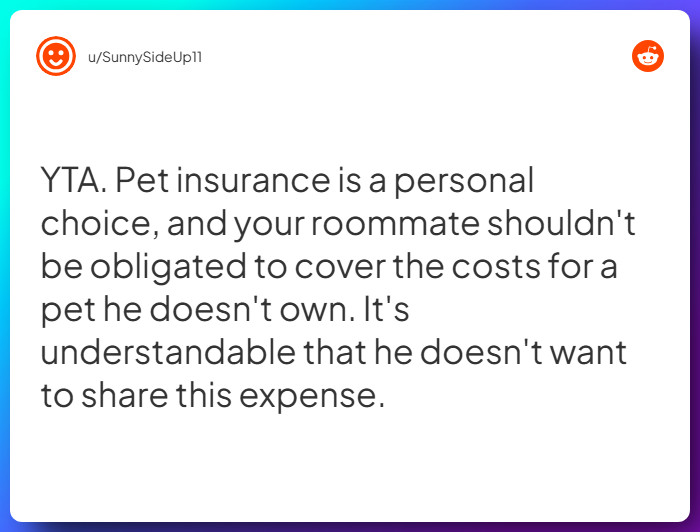 Comment from u/SunnySideUp11