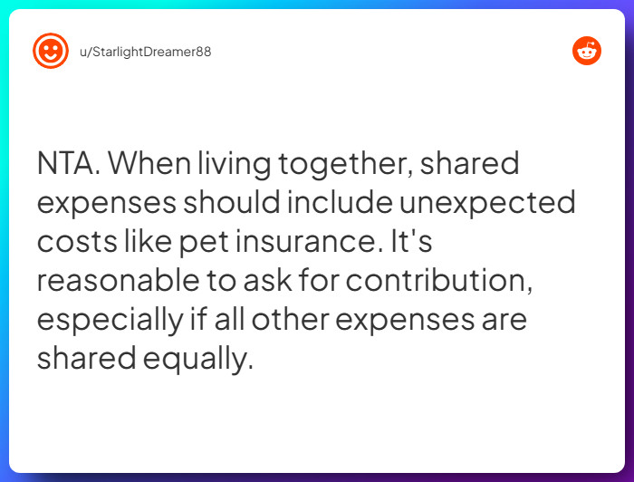 Comment from u/StarlightDreamer88