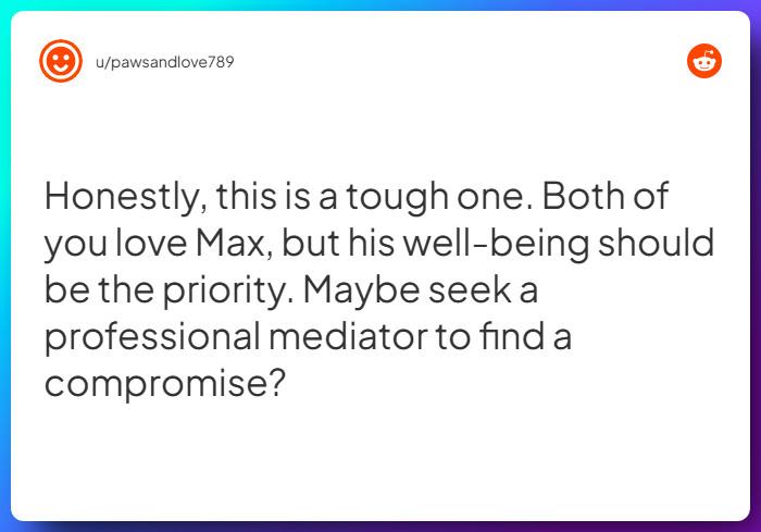 Comment from u/pawsandlove789