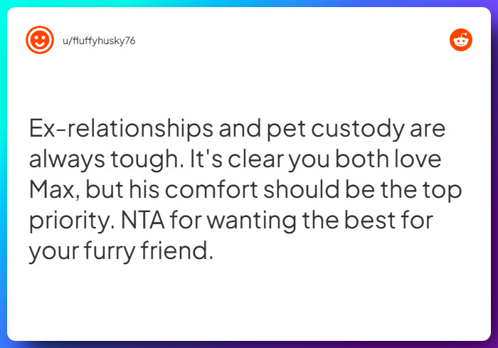 Comment from u/fluffyhusky76