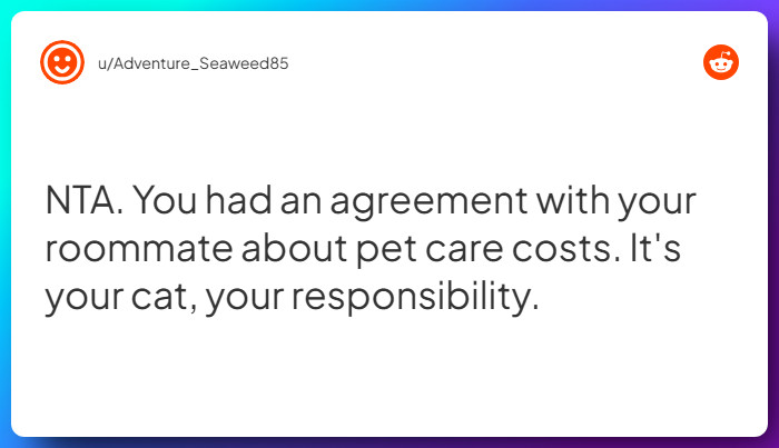 Comment from u/Adventure_Seaweed85