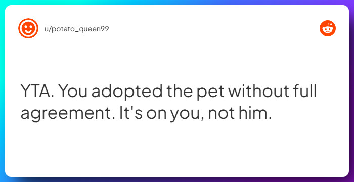 Comment from u/potato_queen99