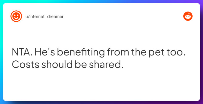 Comment from u/internet_dreamer