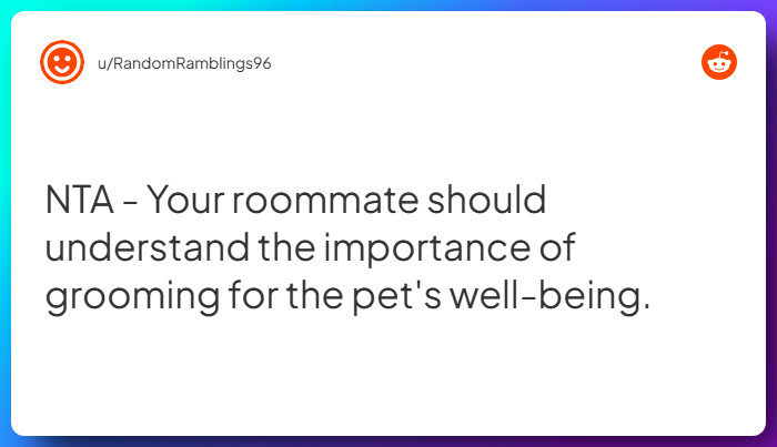 Comment from u/RandomRamblings96