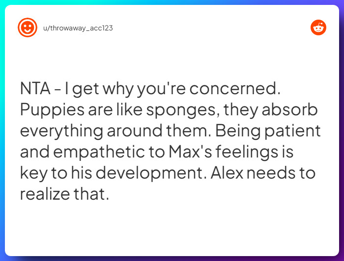 Comment from u/throwaway_acc123