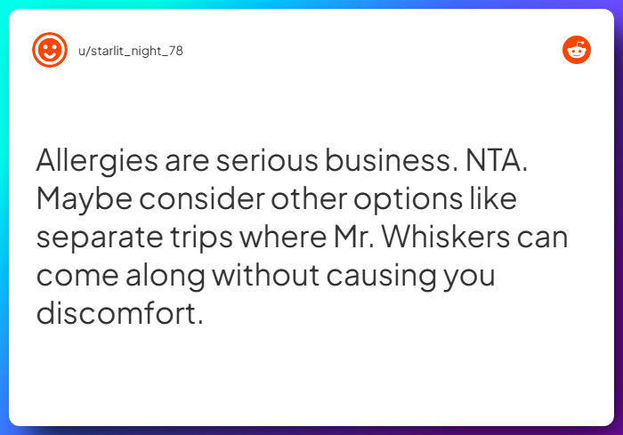 Comment from u/starlit_night_78