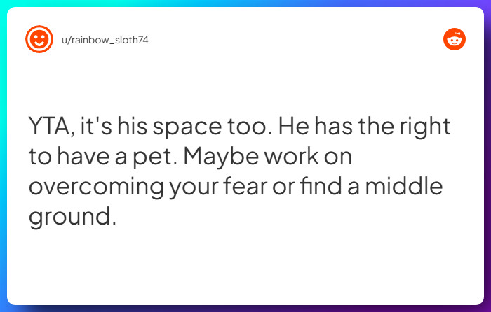 Comment from u/rainbow_sloth74