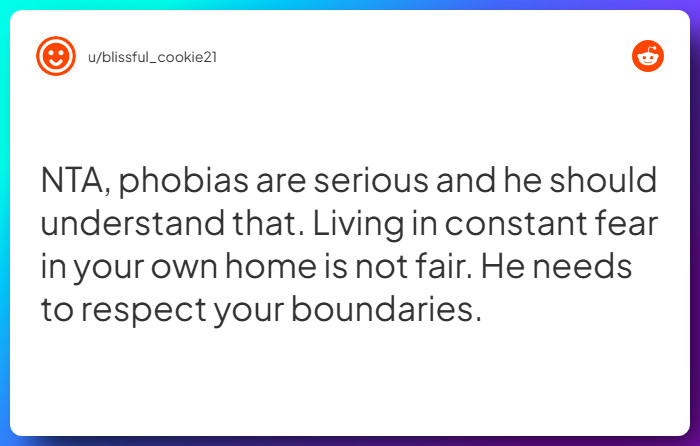 Comment from u/blissful_cookie21