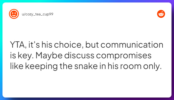 Comment from u/cozy_tea_cup99