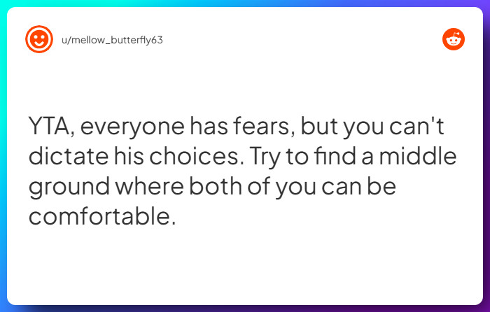 Comment from u/mellow_butterfly63