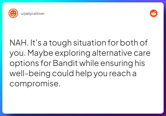 Comment from u/jazzycatlover