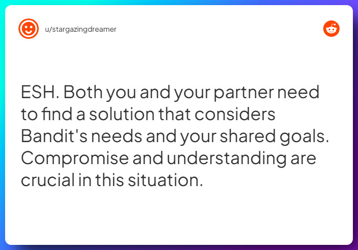 Comment from u/stargazingdreamer