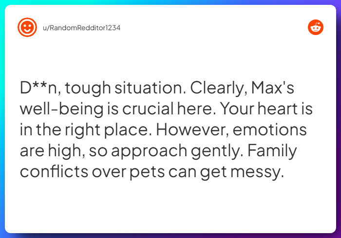 Comment from u/RandomRedditor1234