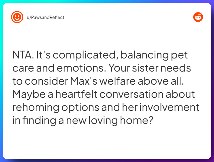 Comment from u/PawsandReflect