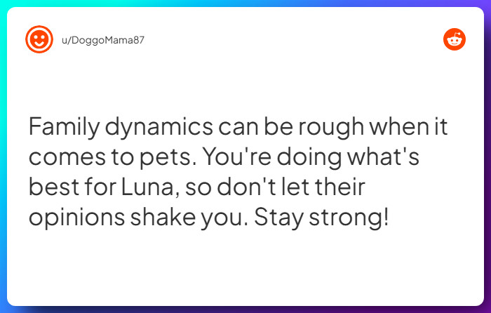 Comment from u/DoggoMama87