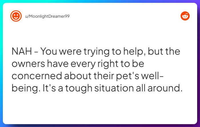 Comment from u/MoonlightDreamer99