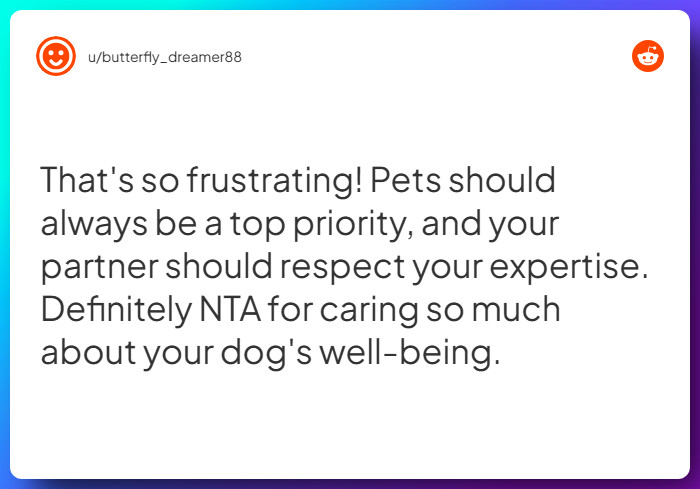 Comment from u/butterfly_dreamer88