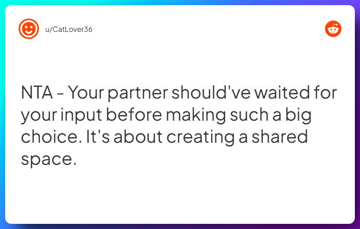 Comment from u/CatLover36