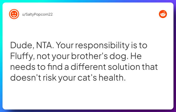 Comment from u/SaltyPopcorn22