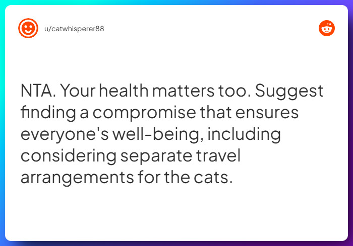 Comment from u/catwhisperer88