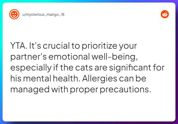 Comment from u/mysterious_mango_18