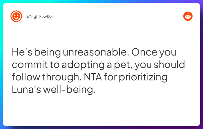 Comment from u/NightOwl23