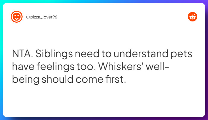 Comment from u/pizza_lover96