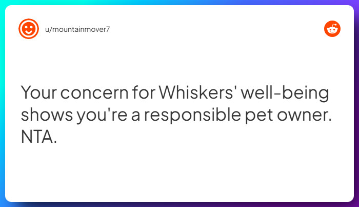 Comment from u/mountainmover7