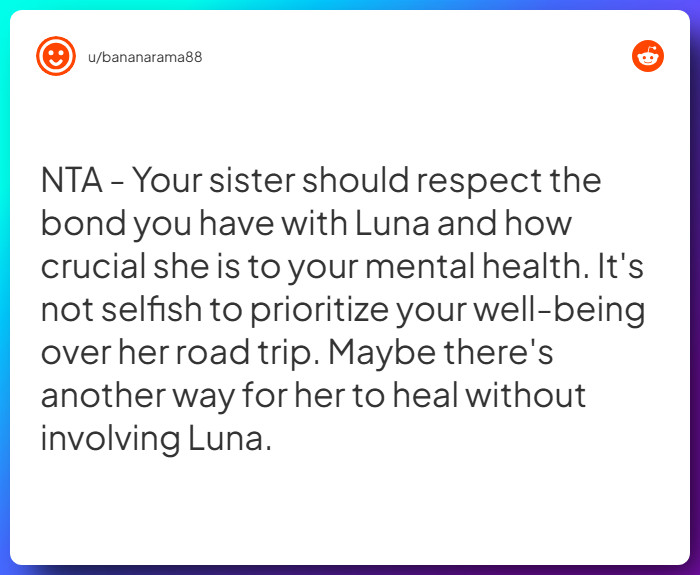 Comment from u/bananarama88